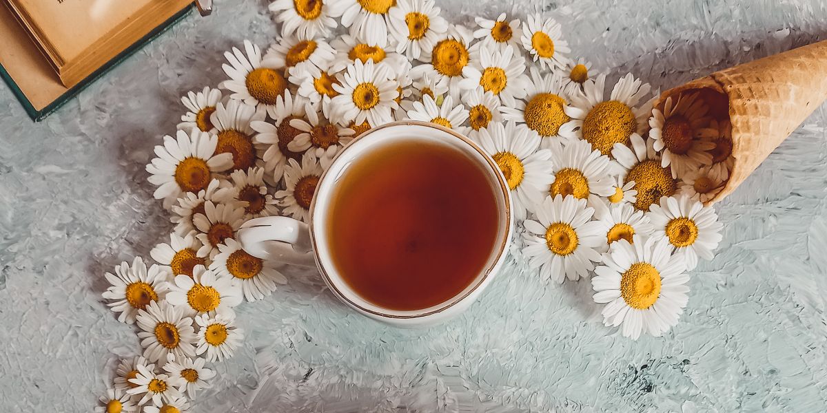 Best Teas To Promote Your Health 
